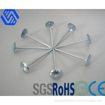 Umbrella Roofing Nail (Polished, diamond point)